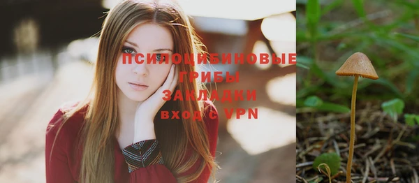 PSILOCYBIN Армянск