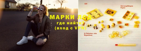 PSILOCYBIN Армянск