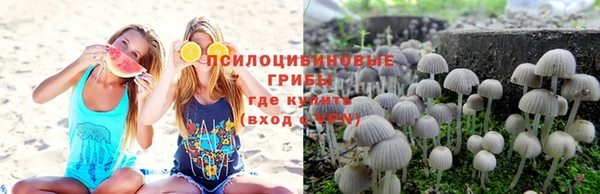 стафф Аркадак